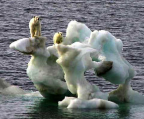 The Global Warming Hoax – A Convenient Excuse for a New World Order