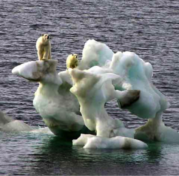 The photo used by Al Gore in An Inconvenient Truth was taken in the month of August